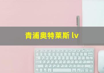 青浦奥特莱斯 lv